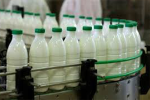 Süt Üretiminde 9 1 Artış Yaşandı