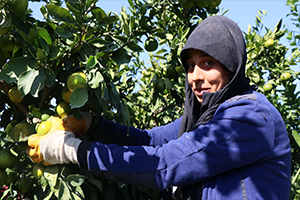 Kadın Çiftçilerimiz Çalışma Şartlarında Dertli