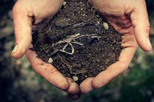 Toprakta Kimyasal Zehirlenmesinin Önüne Geçiliyor