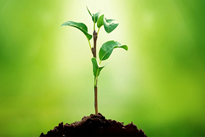 Tarımsal Danışmanlık Hizmetlerine Destek