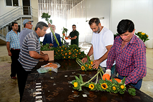 Adana dan Hollanda ya 2 5 Milyon Dal Çiçek