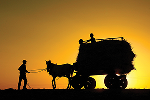 TZOB Kırsalda Yatırım Yapılmalı Göç Önlenmeli