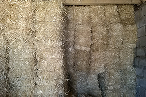 Saman Fiyatlarında Artış Görüldü