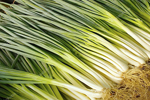 Yeşil Soğan En Fazla Fiyat Artışı Olan Sebze