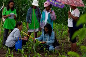 BM Haiti deki Barış Gücünü Geri Çekiyor