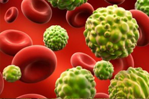 Kanser Yapan ve Kanserden Koruyan Ürünler