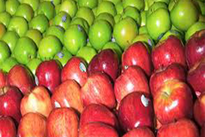 İç Pazar Doymuş Durumda