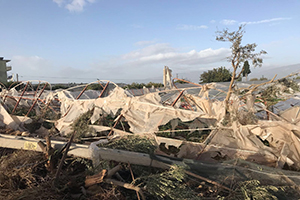 Üreticinin Yaralarını TARSİM Saracak