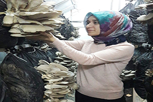 Devlet Desteğiyle Kurduğu Serada `İstiridye Mantarı` Yetiştiriyor