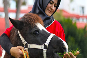 Kırsalda Kadın Seyisler Yetişiyor