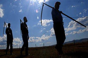 Ekonomik Eşitsizlik Tarımla Başladı