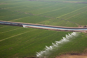 GAP ın Yeni Gözdesi Organik Ürünler Oldu