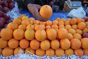 Portakal Üreticileri Emeklerinin Karşılıklarını Almak İstiyor