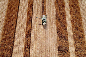 Tek Bir İl 100 den Fazla Ülkeyi Geride Bırakıyor