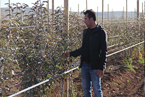 Taşlı Tarla dan Servet Kazanıyor