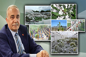 Fakıbaba Müjdeyi Verdi