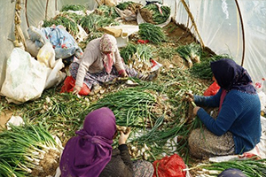 Yağmur Çamur Kadınlara Engel Olamadı