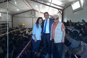 Gezen Tavuklar Üretime Başladı