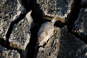 100 Milyon İnsanın Yoksulluk İçinde Yaşamasına Neden Olacak
