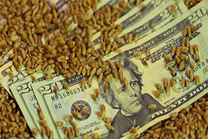 FAO Dünyanın Gıda İthalat Faturası Artıyor