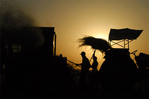 Tarım İstihdam da Üzerine Düşeni Yapıyor