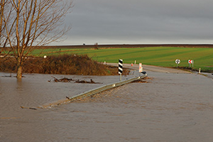 Tarım Arazileri Sular Altında Kaldı