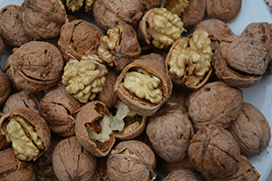 En Kaliteli Ceviz Bizde Ancak İthalattan Kurtulamıyoruz