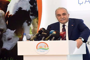 2018 de Hayvancılık Destekleri Artıyor