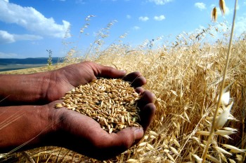 Üreticinin Kara Gün Dostu