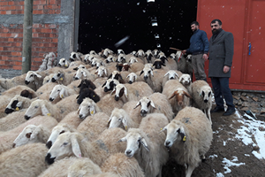 Kırsal Kesimlerdeki Yetiştiricilerin Daha Fazla Desteklenmesi Gerekiyor