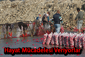 Mevsimlik İşçiler Hayata Tutunmaya Çalışıyor