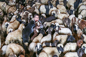 Bahar ın Müjdecileri Gözlerini Açtı