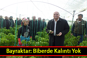 Bayraktar Kalıntı İddiaları Tamamen Asılsız