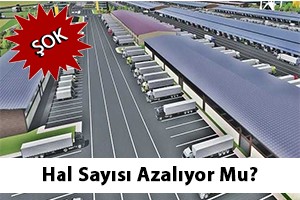 Yeni Yasaya Uygun İlk Hal Kuruluyor