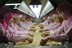 Ocak Ayında Bin 820 Ton İç Fındık İhraç Edildi