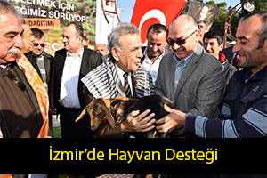 İzmir de 6 Bin Hayvan Desteği