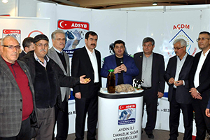 Aydın a Damızlık Düve Yetiştiriciliği Merkezi Kurulacak