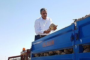 Şeker de Pancar Ödemeleri Başlıyor