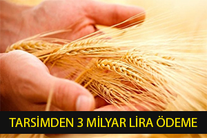 TARSİM den 3 Milyar Lira Hasar Ödemesi