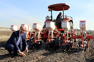 Tekin Adana da 1 Ürün Mısır Ekilişleri Yıllara Göre Arttı