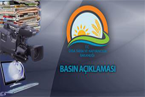 Ölü Hayvanların Kesildiği İddiası Doğru Değildir