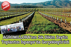 AGROMILLORA nın sık dikim zeytin toplantısı İspanya da gerçekleştirildi