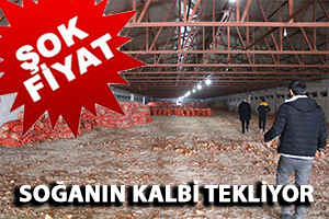 Soğan Depo da Kaldı Üretici Dertli