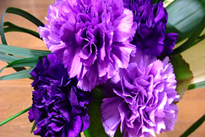 Rusya O Ürünlerde Yasağı Kaldırdı