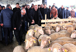 Hayvancılığa Büyük Destek