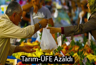 Tarım ÜFE Şubat ta Azaldı