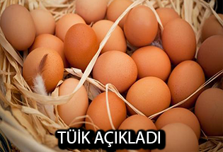 Yüzde 7.4 Artışla 1.6 Milyara Çıktı