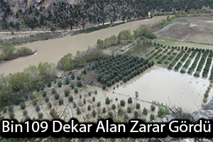 Bin 109 Dekar Alan Zarar Gördü