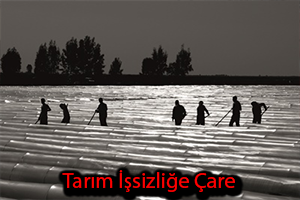 Aralık Ayında Bile 4 9 Milyon İstihdam