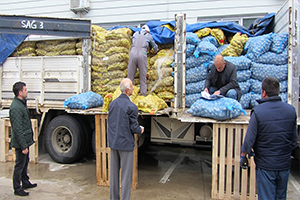 Çiftçilere Yüksek Verimli Patates Tohumluğu Dağıtıldı